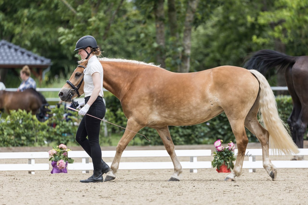 Bild 4 - Pony Akademie Turnier